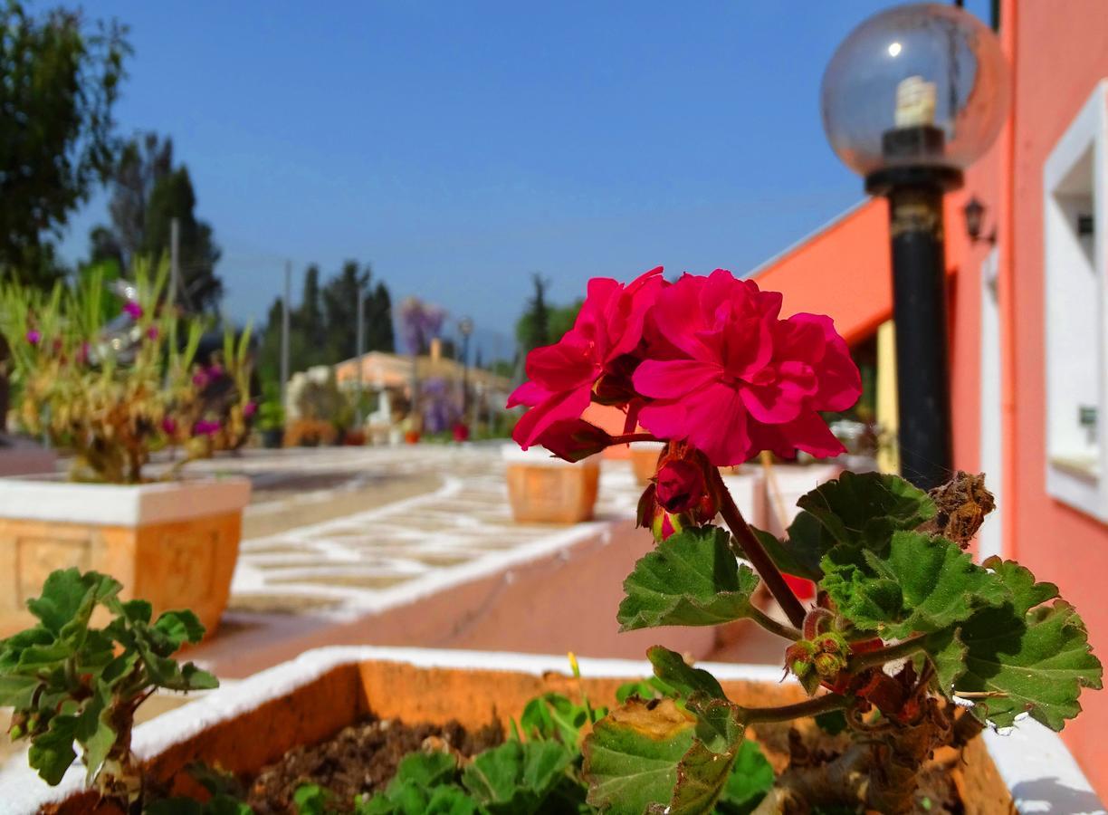 Joanna Apartments Κοντόκαλι Εξωτερικό φωτογραφία