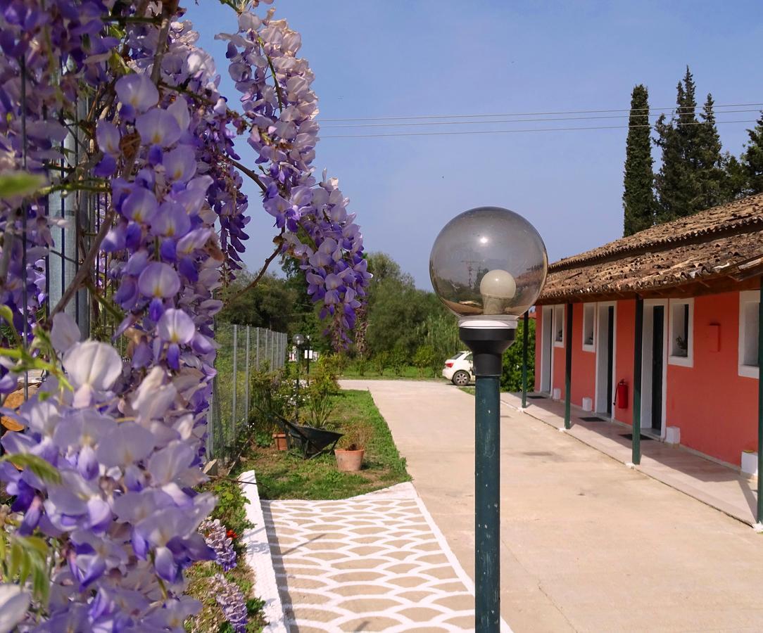 Joanna Apartments Κοντόκαλι Εξωτερικό φωτογραφία